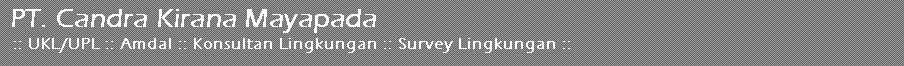 Professional website design company, affordable website design services